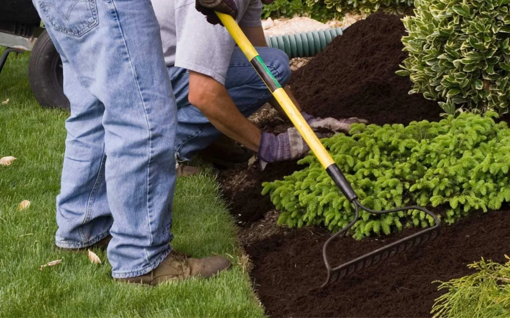 Real Tree Trimming and Landscaping Tree and Shrub Mulching 1920w