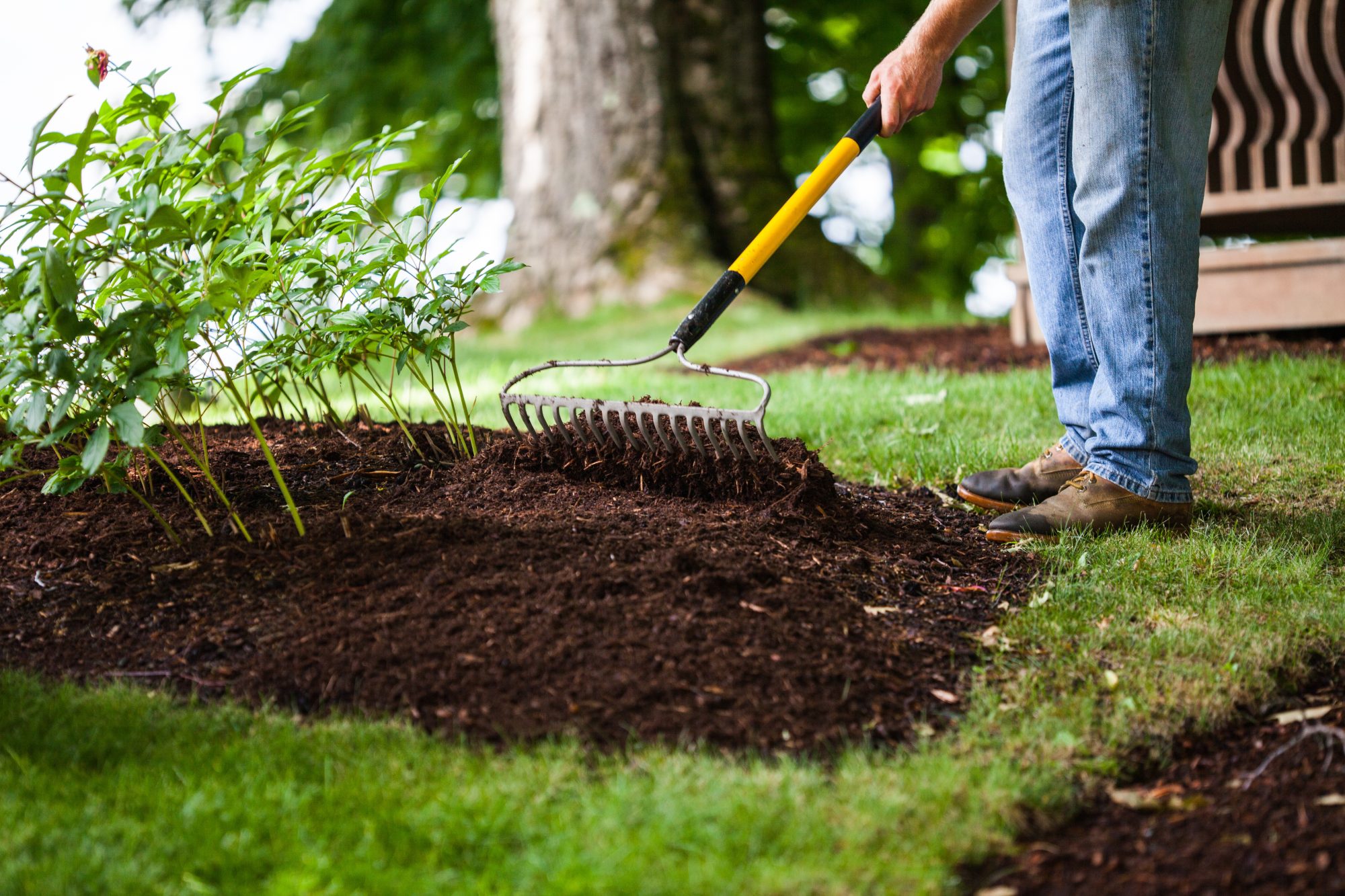 What Does Mulch Do geo scaled 2