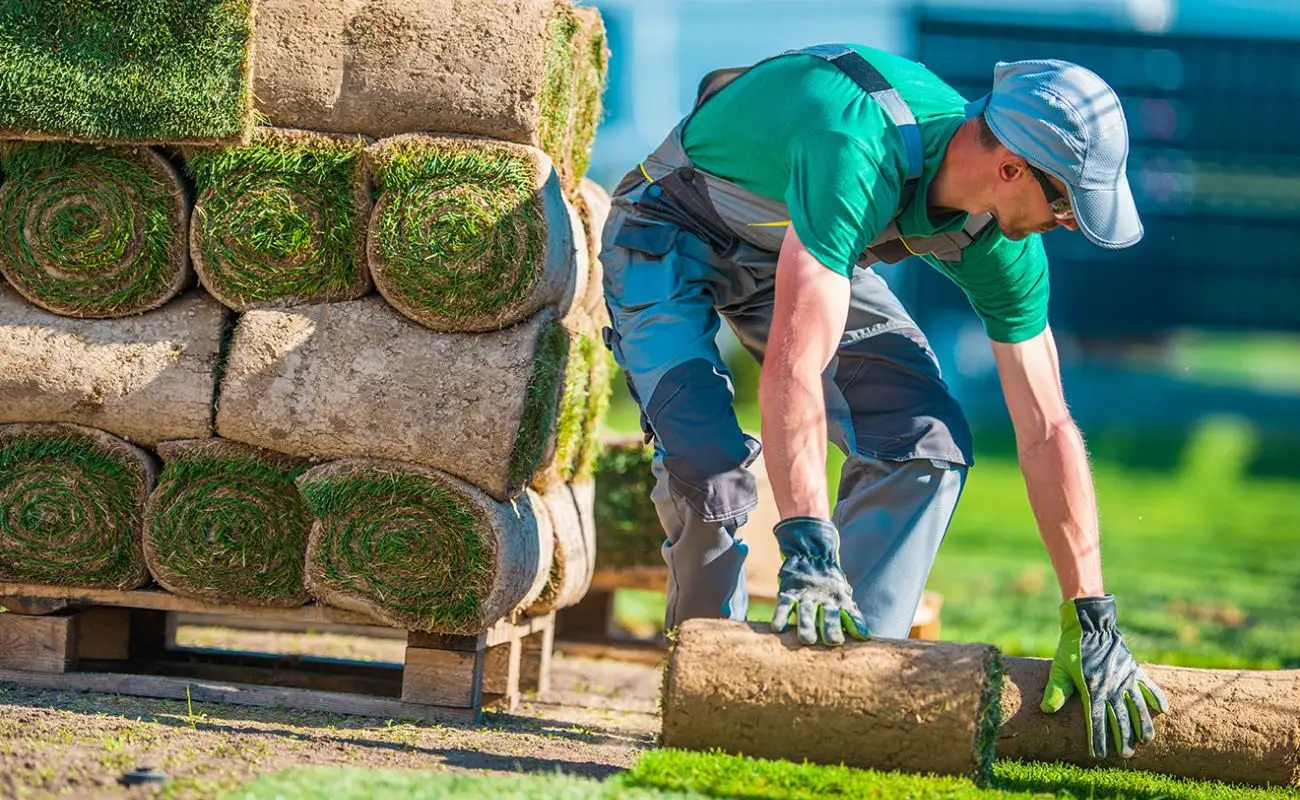 what are landscaping services 1700895229